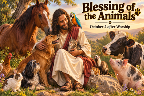 Blessing of the Animals After Worship